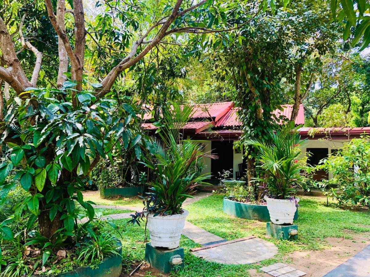 Bangalawa Resort Habarana Exterior photo