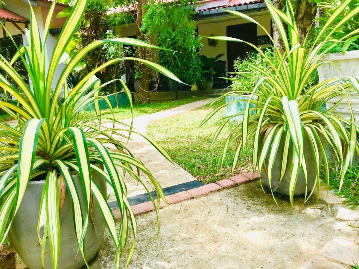 Bangalawa Resort Habarana Exterior photo